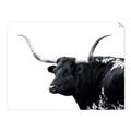 Picture of Spotted Bull  _GroupedProduct_Rectangle_Landscape_Photography _GroupedProduct_Rectangle_Landscape_Unframed_Print_Only_