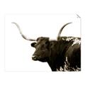 Picture of Spotted Bull  _GroupedProduct_Rectangle_Landscape_Photography _GroupedProduct_Rectangle_Landscape_Unframed_Print_Only_
