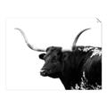 Picture of Spotted Bull  _GroupedProduct_Rectangle_Landscape_Photography _GroupedProduct_Rectangle_Landscape_Unframed_Print_Only_