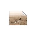 Picture of Spotted in the Savanna  _GroupedProduct_Rectangle_Landscape_Photography _GroupedProduct_Rectangle_Landscape_Unframed_Print_Only_