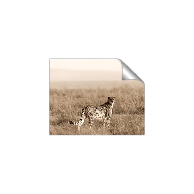 Picture of Spotted in the Savanna  _GroupedProduct_Rectangle_Landscape_Photography _GroupedProduct_Rectangle_Landscape_Unframed_Print_Only_