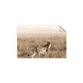 Picture of Spotted in the Savanna  _GroupedProduct_Rectangle_Landscape_Photography _GroupedProduct_Rectangle_Landscape_Unframed_Print_Only_