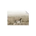 Picture of Spotted in the Savanna  _GroupedProduct_Rectangle_Landscape_Photography _GroupedProduct_Rectangle_Landscape_Unframed_Print_Only_