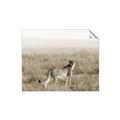 Picture of Spotted in the Savanna  _GroupedProduct_Rectangle_Landscape_Photography _GroupedProduct_Rectangle_Landscape_Unframed_Print_Only_