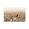 Picture of Spotted in the Savanna  _GroupedProduct_Rectangle_Landscape_Photography _GroupedProduct_Rectangle_Landscape_Unframed_Print_Only_