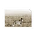 Picture of Spotted in the Savanna  _GroupedProduct_Rectangle_Landscape_Photography _GroupedProduct_Rectangle_Landscape_Unframed_Print_Only_