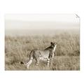 Picture of Spotted in the Savanna  _GroupedProduct_Rectangle_Landscape_Photography _GroupedProduct_Rectangle_Landscape_Unframed_Print_Only_