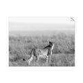 Picture of Spotted in the Savanna  _GroupedProduct_Rectangle_Landscape_Photography _GroupedProduct_Rectangle_Landscape_Unframed_Print_Only_