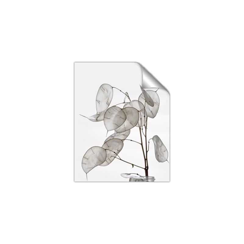 Picture of Sprout & Jar _GroupedProduct_Rectangle_Portrait_Photography _GroupedProduct_Rectangle_Portrait_Unframed_Print_Only_