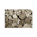 Picture of Stacked Logs _GroupedProduct_Rectangle_Landscape_Photography _GroupedProduct_Rectangle_Landscape_Unframed_Print_Only_