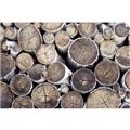Picture of Stacked Logs _GroupedProduct_Rectangle_Landscape_Photography _GroupedProduct_Rectangle_Landscape_Unframed_Print_Only_