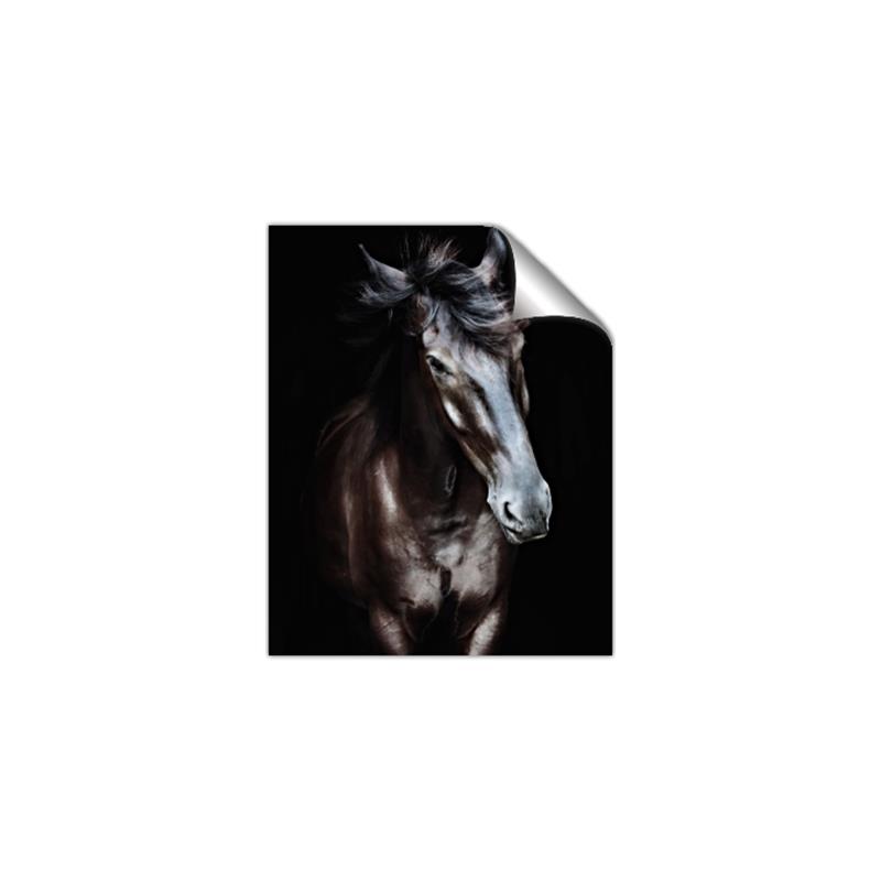 Picture of Stallion _GroupedProduct_Rectangle_Portrait_Photography _GroupedProduct_Rectangle_Portrait_Unframed_Print_Only_