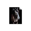 Picture of Stallion _GroupedProduct_Rectangle_Portrait_Photography _GroupedProduct_Rectangle_Portrait_Unframed_Print_Only_