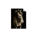 Picture of Stallion _GroupedProduct_Rectangle_Portrait_Photography _GroupedProduct_Rectangle_Portrait_Unframed_Print_Only_