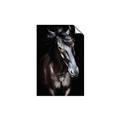 Picture of Stallion _GroupedProduct_Rectangle_Portrait_Photography _GroupedProduct_Rectangle_Portrait_Unframed_Print_Only_