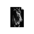 Picture of Stallion _GroupedProduct_Rectangle_Portrait_Photography _GroupedProduct_Rectangle_Portrait_Unframed_Print_Only_