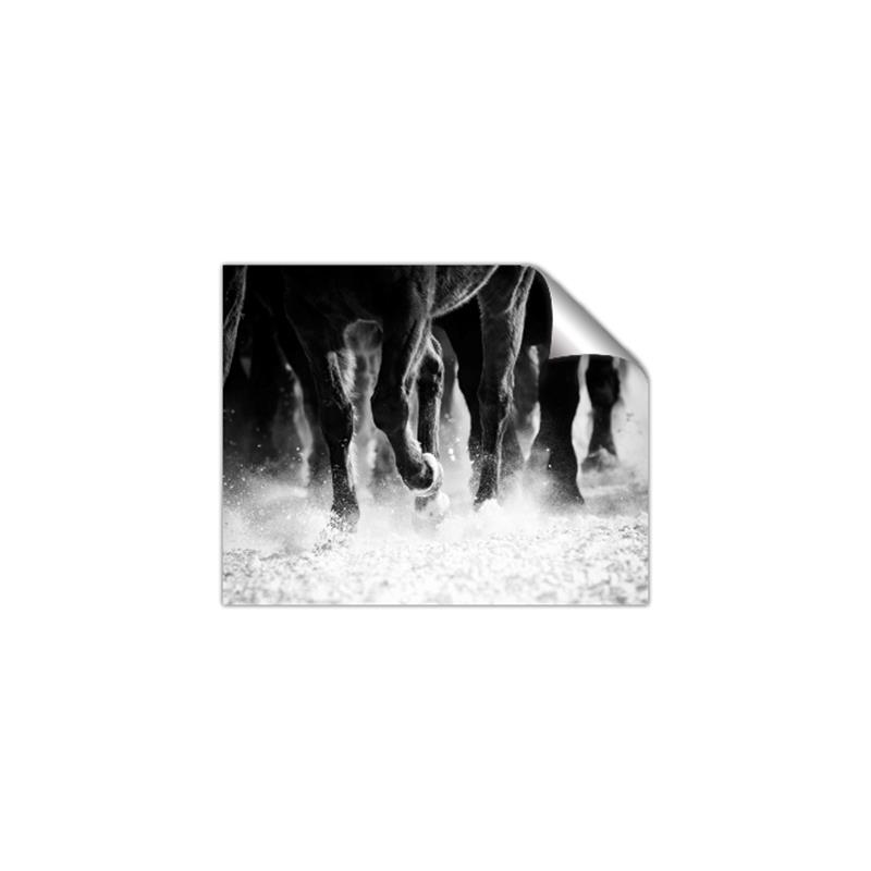 Picture of Stampede _GroupedProduct_Rectangle_Landscape_Photography _GroupedProduct_Rectangle_Landscape_Unframed_Print_Only_