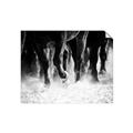 Picture of Stampede _GroupedProduct_Rectangle_Landscape_Photography _GroupedProduct_Rectangle_Landscape_Unframed_Print_Only_