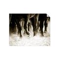 Picture of Stampede _GroupedProduct_Rectangle_Landscape_Photography _GroupedProduct_Rectangle_Landscape_Unframed_Print_Only_