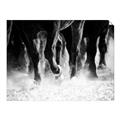 Picture of Stampede _GroupedProduct_Rectangle_Landscape_Photography _GroupedProduct_Rectangle_Landscape_Unframed_Print_Only_