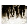 Picture of Stampede _GroupedProduct_Rectangle_Landscape_Photography _GroupedProduct_Rectangle_Landscape_Unframed_Print_Only_