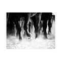 Picture of Stampede _GroupedProduct_Rectangle_Landscape_Photography _GroupedProduct_Rectangle_Landscape_Unframed_Print_Only_