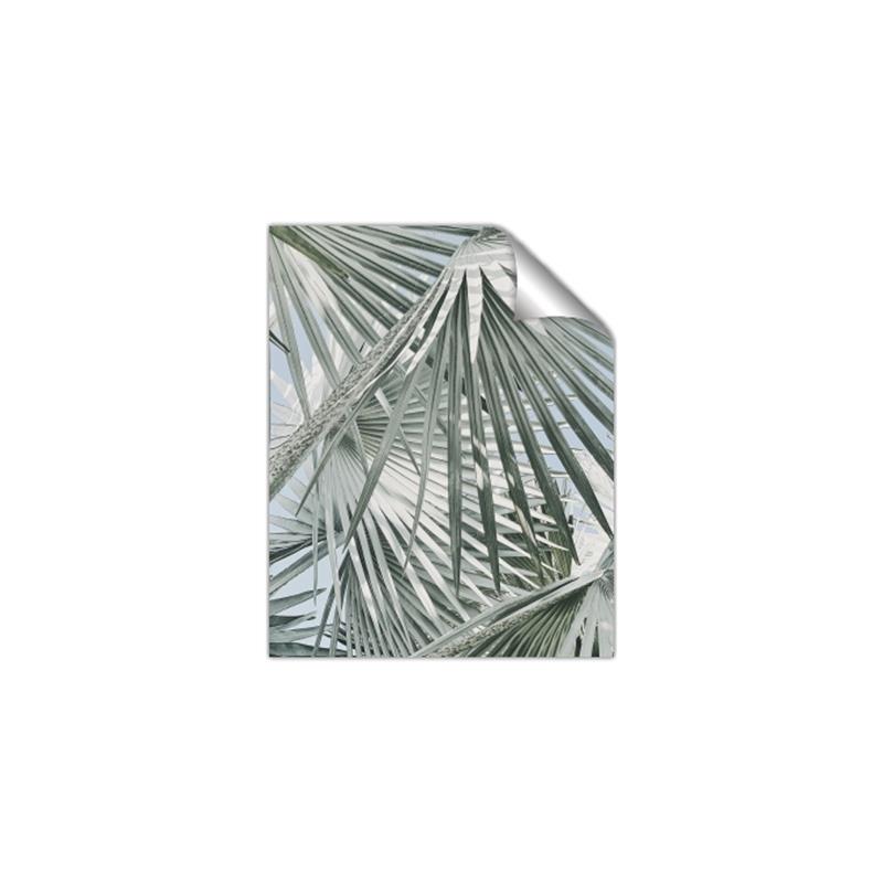 Picture of Sun & Leaves  _GroupedProduct_Rectangle_Portrait_Photography _GroupedProduct_Rectangle_Portrait_Unframed_Print_Only_