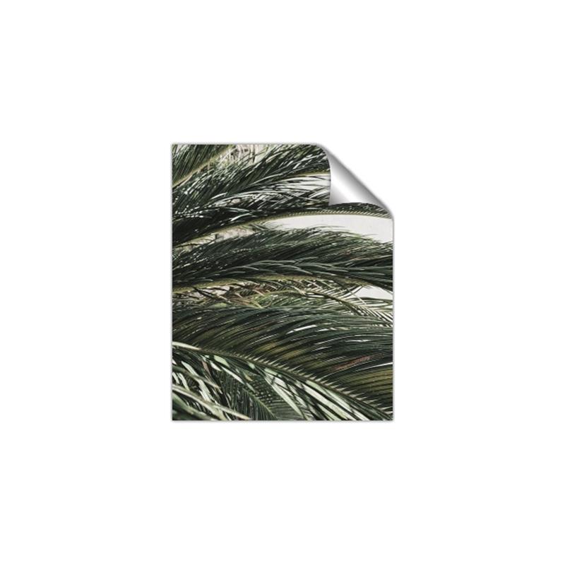 Picture of Sun & Palms  _GroupedProduct_Rectangle_Portrait_Photography _GroupedProduct_Rectangle_Portrait_Unframed_Print_Only_