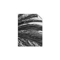 Picture of Sun & Palms  _GroupedProduct_Rectangle_Portrait_Photography _GroupedProduct_Rectangle_Portrait_Unframed_Print_Only_