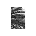 Picture of Sun & Palms  _GroupedProduct_Rectangle_Portrait_Photography _GroupedProduct_Rectangle_Portrait_Unframed_Print_Only_
