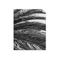 Picture of Sun & Palms  _GroupedProduct_Rectangle_Portrait_Photography _GroupedProduct_Rectangle_Portrait_Unframed_Print_Only_