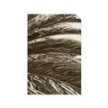Picture of Sun & Palms  _GroupedProduct_Rectangle_Portrait_Photography _GroupedProduct_Rectangle_Portrait_Unframed_Print_Only_