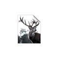 Picture of The Winter Deer _GroupedProduct_Rectangle_Portrait_Photography _GroupedProduct_Rectangle_Portrait_Unframed_Print_Only_