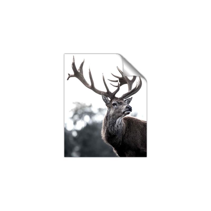 Picture of The Winter Deer _GroupedProduct_Rectangle_Portrait_Photography _GroupedProduct_Rectangle_Portrait_Unframed_Print_Only_