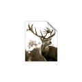 Picture of The Winter Deer _GroupedProduct_Rectangle_Portrait_Photography _GroupedProduct_Rectangle_Portrait_Unframed_Print_Only_