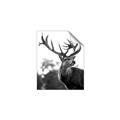 Picture of The Winter Deer _GroupedProduct_Rectangle_Portrait_Photography _GroupedProduct_Rectangle_Portrait_Unframed_Print_Only_
