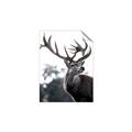 Picture of The Winter Deer _GroupedProduct_Rectangle_Portrait_Photography _GroupedProduct_Rectangle_Portrait_Unframed_Print_Only_
