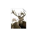 Picture of The Winter Deer _GroupedProduct_Rectangle_Portrait_Photography _GroupedProduct_Rectangle_Portrait_Unframed_Print_Only_
