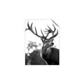 Picture of The Winter Deer _GroupedProduct_Rectangle_Portrait_Photography _GroupedProduct_Rectangle_Portrait_Unframed_Print_Only_