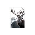 Picture of The Winter Deer _GroupedProduct_Rectangle_Portrait_Photography _GroupedProduct_Rectangle_Portrait_Unframed_Print_Only_