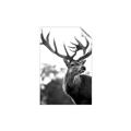 Picture of The Winter Deer _GroupedProduct_Rectangle_Portrait_Photography _GroupedProduct_Rectangle_Portrait_Unframed_Print_Only_