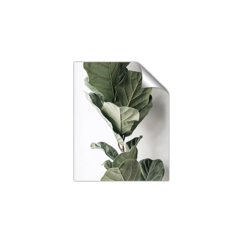 Picture of Think Green  _GroupedProduct_Rectangle_Portrait_Photography _GroupedProduct_Rectangle_Portrait_Unframed_Print_Only_