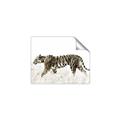 Picture of Tiger Path _GroupedProduct_Rectangle_Landscape_Photography _GroupedProduct_Rectangle_Landscape_Unframed_Print_Only_