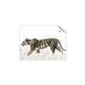Picture of Tiger Path _GroupedProduct_Rectangle_Landscape_Photography _GroupedProduct_Rectangle_Landscape_Unframed_Print_Only_