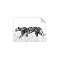 Picture of Tiger Path _GroupedProduct_Rectangle_Landscape_Photography _GroupedProduct_Rectangle_Landscape_Unframed_Print_Only_