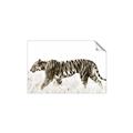 Picture of Tiger Path _GroupedProduct_Rectangle_Landscape_Photography _GroupedProduct_Rectangle_Landscape_Unframed_Print_Only_