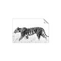 Picture of Tiger Path _GroupedProduct_Rectangle_Landscape_Photography _GroupedProduct_Rectangle_Landscape_Unframed_Print_Only_