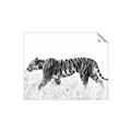 Picture of Tiger Path _GroupedProduct_Rectangle_Landscape_Photography _GroupedProduct_Rectangle_Landscape_Unframed_Print_Only_