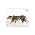 Picture of Tiger Path _GroupedProduct_Rectangle_Landscape_Photography _GroupedProduct_Rectangle_Landscape_Unframed_Print_Only_