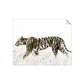 Picture of Tiger Path _GroupedProduct_Rectangle_Landscape_Photography _GroupedProduct_Rectangle_Landscape_Unframed_Print_Only_